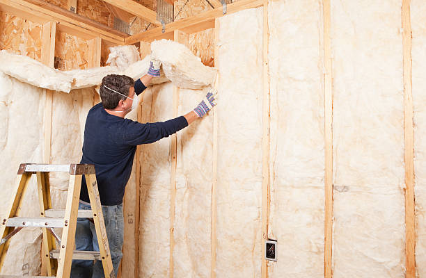 Best Insulation Air Sealing  in Timber Pines, FL